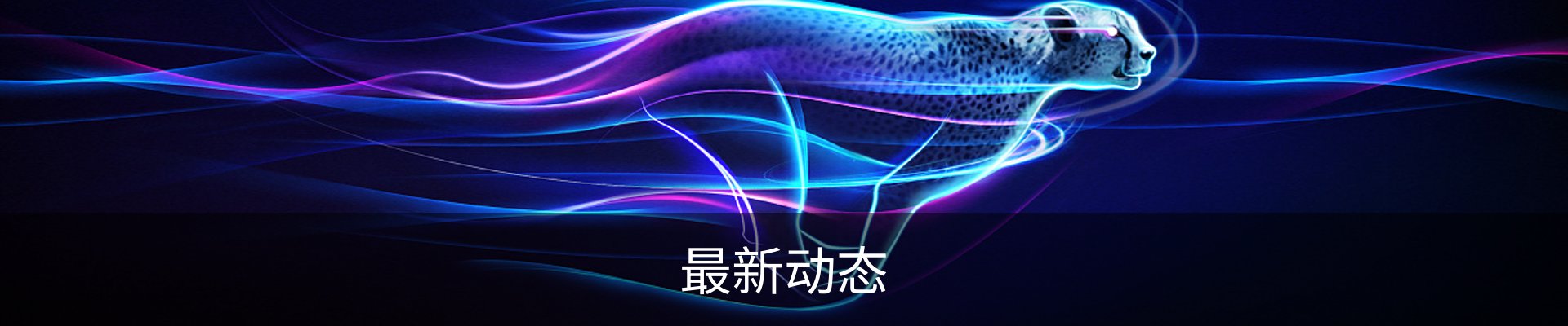 最新动态