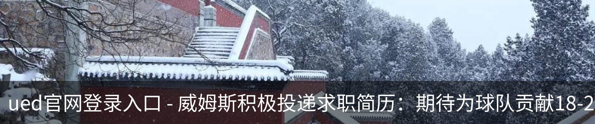 最新动态